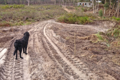 Lower-Dam-Landscaping