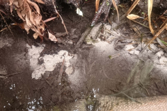 Weisse-Sandkoerner-tanzen-in-der-Quelle-die-erste-Spur-zum-REINEN-WASSER