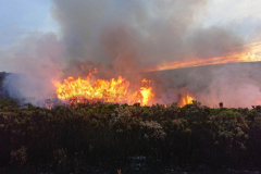Meterhohe Flammen