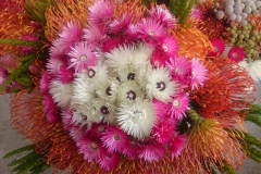 Everlastings