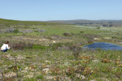 Fisch Dam