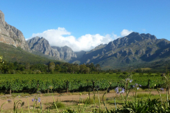 Franschhoek-Valley