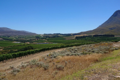 Hemel-and-Aarde-Valley