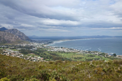 Hermanus