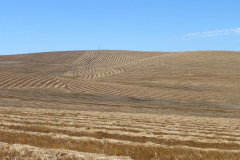 Weizenland